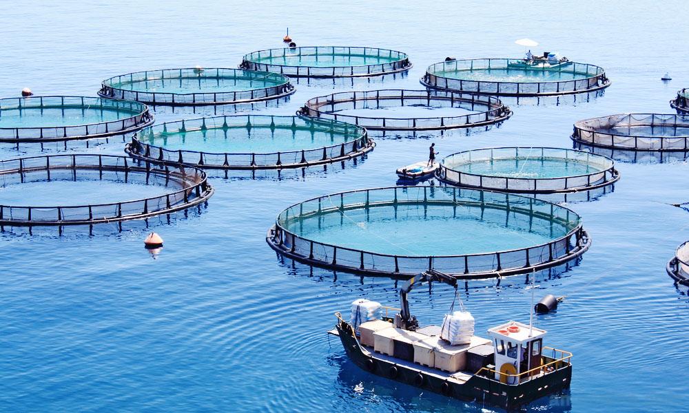 1636010057899271.jpg 0-2.jpg